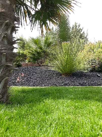 Création et entretien de jardin à Longeville sur Mer par Les Jardins de L'Océan